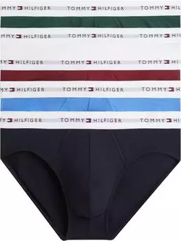 Tommy Hilfiger Signature Baumwoll-5er-Pack Slips in Marineblau/Weiß/Burgunderrot/Blau-Multi (UM0UM039630R3)