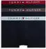 3er-Pack Trunks mit Logo-Taillenbund (UM0UM03908) drk ash/brzy blu/rouge