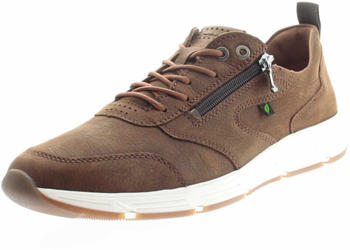 LLOYD braun 944032