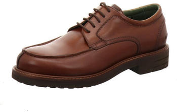 Galizio Torresi Schnürschuh 313698 braun