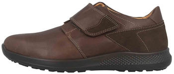 Jomos Schnürschuh braun 322409 231 343