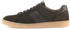 Pius Gabor Sneaker braun ebony mocca