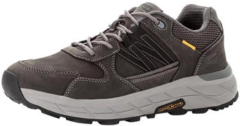 Camel Active Sneaker Nubukleder-Besatz schwarz