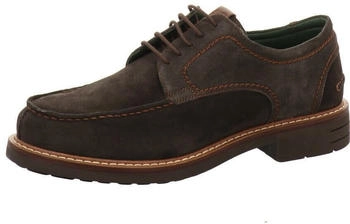 Galizio Torresi 313698 braun