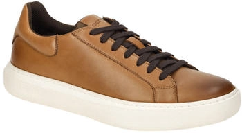 Geox U DEIVEN D Sneaker lt brown