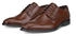 Ecco Melbourne Sneaker mink