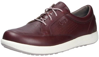 Joya Schnürschuhe braun