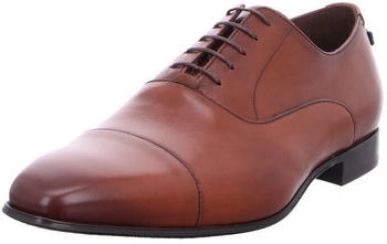 Floris van Bommel Floris Dressed Cognac