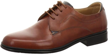 Galizio Torresi 442890L braun