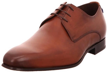 Floris van Bommel Business Schnürschuhe 31323038333333 braun