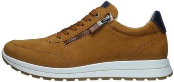 Ara Matteo cognac/blau