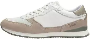 LLOYD SWIFT taupe/offwhite/salbei