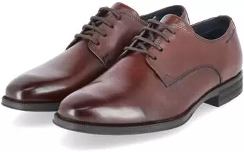 Salamander Business Shoe (E11AUU011100-6300) braun