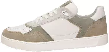 Sioux Tedroso 704