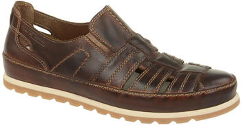 camel active Herren Halbschuhe Test | Die Beliebtesten im camel active Herren Halbschuhe Test | Die Beliebtesten im