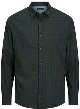 Jack & Jones Gingham Twill Long Sleeve Shirt (12183107) grün