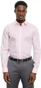 OLYMP No. Six super slim Urban Kent rosé