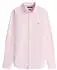 Tommy Hilfiger Regular Fit Ithaca Stripe Oxford Shirt (MW0MW36238)