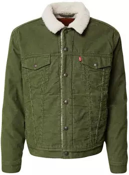 Levi's Type 3 Sherpa Trucker Jacket sea moss