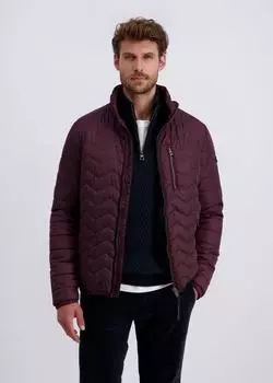 Pierre Cardin Übergangsjacke mit Steppung und Stehkragen burgunder