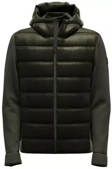 Strellson Leggero Winterjacke grün (316)