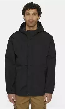 Dickies Momentum Training Jacket (DK0A4YWZBLK1) schwarz