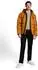 Tom Tailor Bermuda Shorts Regular Fit (21031951) peanut butter brown