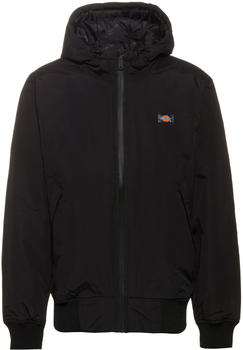 Dickies New Sarpy Jacket (DK0A4XG8) black