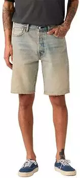 Levi's 501 Original Fit Shorts (36512) my tinted story