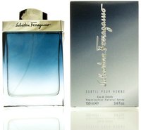 Salvatore Ferragamo Subtil 100 ml, M&auml;nner, 100 ml