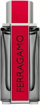 Salvatore Ferragamo Red Leather Eau de Toilette (100ml)