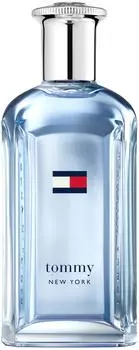 Tommy Hilfiger Tommy New York Eau de Toilette (100ml)