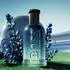 Hugo Boss Bottled Striking Lavender Eau de Parfum (50ml)