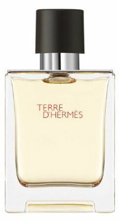 Hermès Terre d'Hermès Eau de Toilette (50ml) Test TOP Angebote ab 54,68 €  (März 2023)