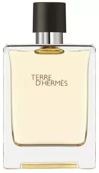 Herm&egrave;s Terre d'Herm&egrave;s Eau de Toilette (100ml)