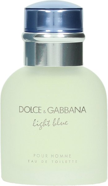 Dolce & Gabbana Light Blue pour Homme Eau de Toilette (40ml)