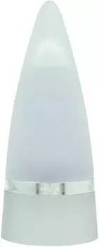 ROCHAS Paris Man Eau de Toilette 100 ml