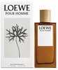 Loewe pour Homme Eau de Toilette Spray 100 ml