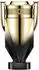 Paco Rabanne Invictus Parfum Elixir (200ml)