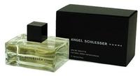 Angel Schlesser Homme Eau de Toilette 75 ml, Grundpreis: &euro; 234,53 / l