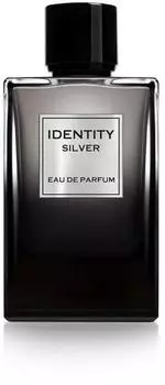 GA-DE Identity Silver Pour Homme Eau de Parfum 100 ml