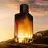 Giorgio Armani I Will Eau de Parfum (100ml)
