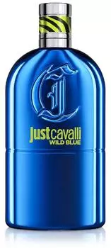 Roberto Cavalli Just Cavalli Wild Blue Eau de Toilette 90ml