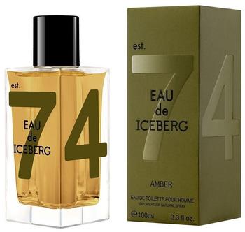 Iceberg Amber Eau de Toilette (100ml)