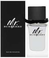 Burberry Mr. Burberry EdT Spray 100 ml