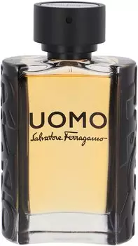 Salvatore Ferragamo Uomo Eau de Toilette 100 ml