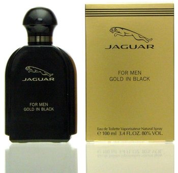 Jaguar Gold in Black for Men Eau de Toilette (100ml)