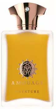 Amouage Overture Man Eau de Parfum (100ml)