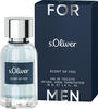 s.Oliver 882137, s.Oliver Scent of You for Men Eau de Toilette Spray 30 ml,