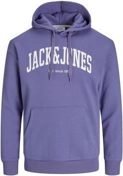 Jack & Jones Jjejosh sweat hood noos (12236513-4279864) twilight purple